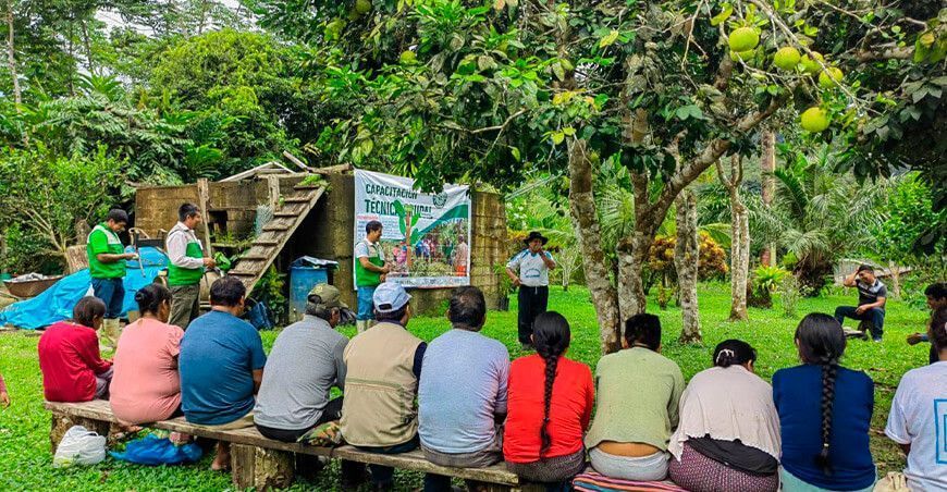 Devida) ha dado inicio a las escuelas de campo para agricultores, beneficiando a 150 familias productoras de 16 caseríos en los distritos de San Gaban (Puno), Camanti (Cusco) e Inambari (Madre de Dios).