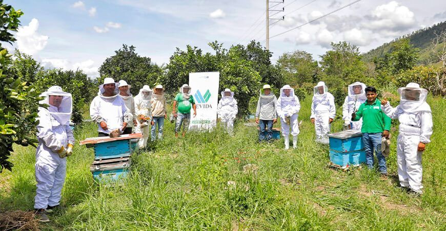 apicultores fortalecen sus capacidades en escuelas de campo en el Vraem crianza de abejas y producción de miel