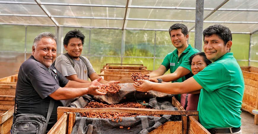 Fortalecen capacidades en el proceso de poscosecha de cacaoteros de Junín