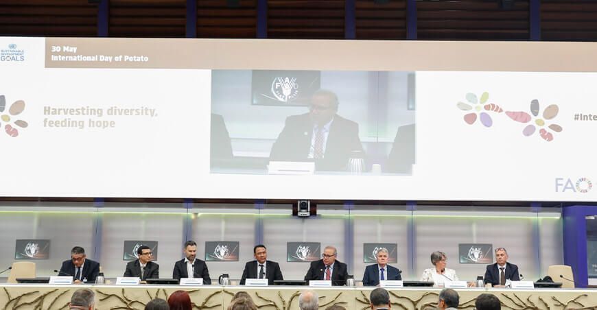 FAO Día Internacional de la Papa