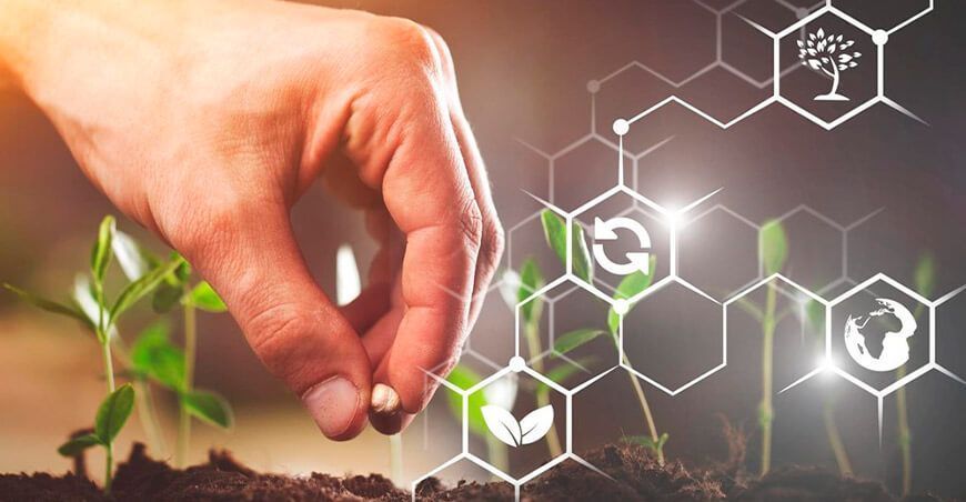 Día Internacional de la Sanidad Vegetal