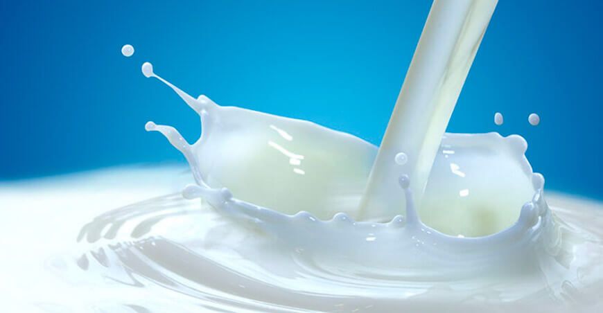 Un alimento clave para el crecimiento y la salud ósea de niños y adultos Día Mundial de la Leche