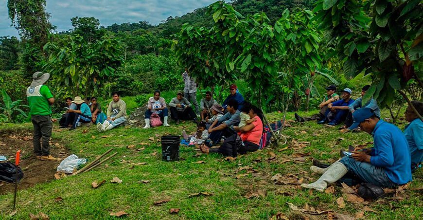 Devida) ha dado inicio a las escuelas de campo para agricultores, beneficiando a 150 familias productoras de 16 caseríos en los distritos de San Gaban (Puno), Camanti (Cusco) e Inambari (Madre de Dios).