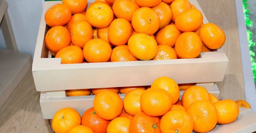 exportación de mandarina Perú