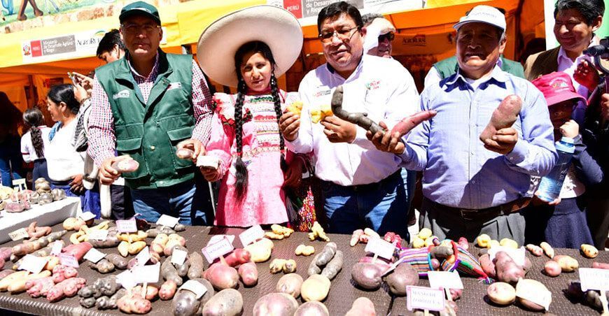Visita la Feria Macrorregional De La Chacra a la Olla en Cajamarca productores papa Perú