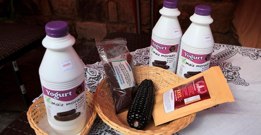 Festival del maíz morado yogurt de maíz morado, harinas Cajamarca Perú