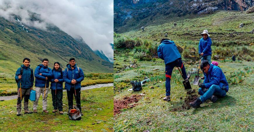 Cómo descontaminar el suelo usando plantas fitorremediación Ancash Perú