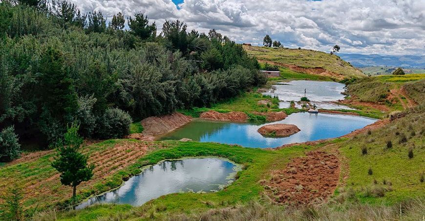 Siembra y cosecha de agua, la mejor alternativa ante la escasez hídrica “La Cosecha del Futuro” Jauja Junín Perú 