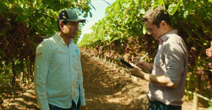 Financiamiento a la agricultura Una inversión en el futuro de la nutrición
