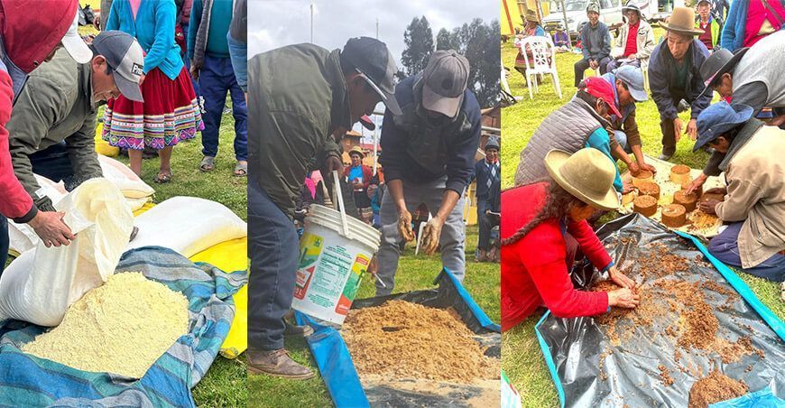 Ganaderos de Puica aprenden a elaborar bloques nutricionales para ovinos en Cusco Perú