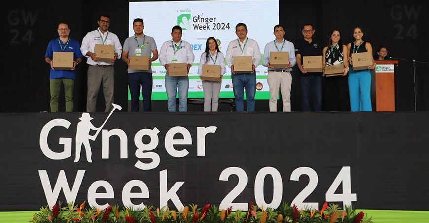 Ginger Week Plantean trabajo conjunto para que jengibre y cúrcuma mantengan su liderazgo Perú