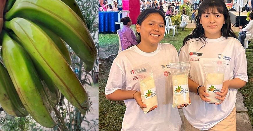 propuesta de Dámaris Ramírez Silva y Neimar Berrú Huamán, jóvenes emprendedoras con visión empresarial y pasión por los negocios harina de plátanos