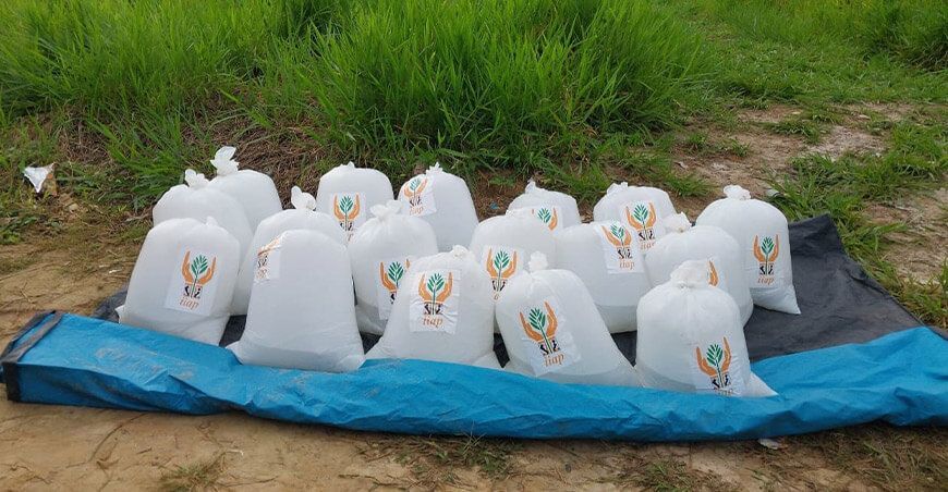 IIAP entrega alevinos gamitana a productores de Loreto Perú