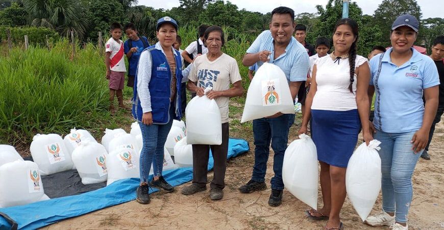 Entregan 20 000 alevinos de boquichico a piscicultores de Saramiriza IIAP Loreto Perú