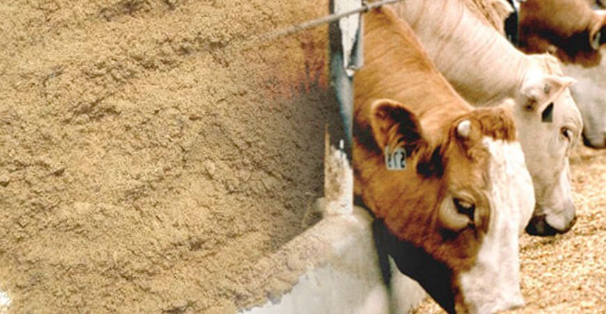 Senasa aprueba requisitos sanitarios para importación de harina de carne y hueso bovino