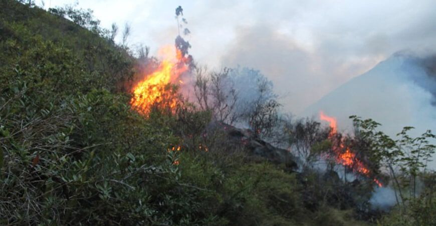 incendios forestales