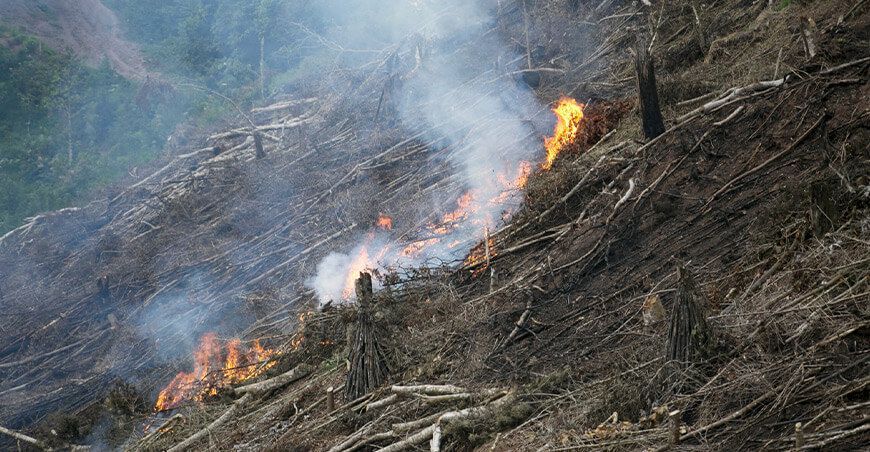 incendios forestales Perú