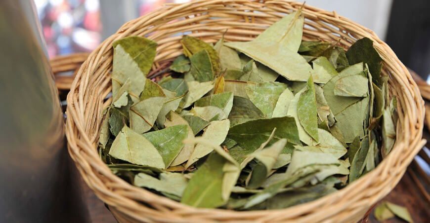 Urge fortalecer la cadena de infusiones con apoyo del sector público Perú plantas medicinales