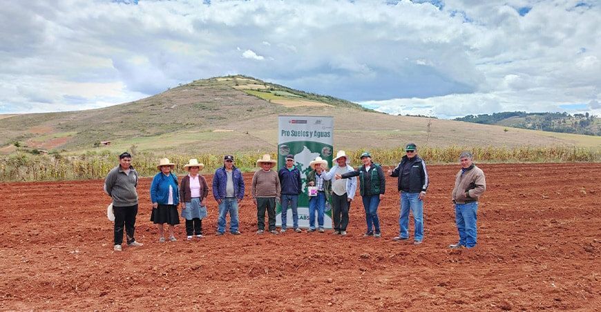 INIA instala parcela demostrativa para incrementar producción de alfalfa con alta calidad genética en Cajamarca Perú