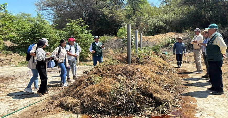 Productores de Tambogrande adoptan tecnologías para mejorar la calidad de los suelos agrarios Piura Perú