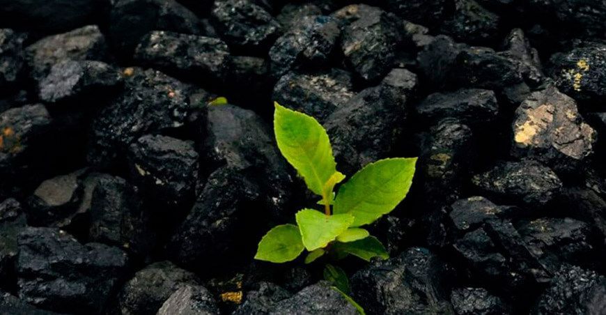 Inspiratus Technologies anunció la construcción de la primera planta industrial de producción de biochar en el Perú