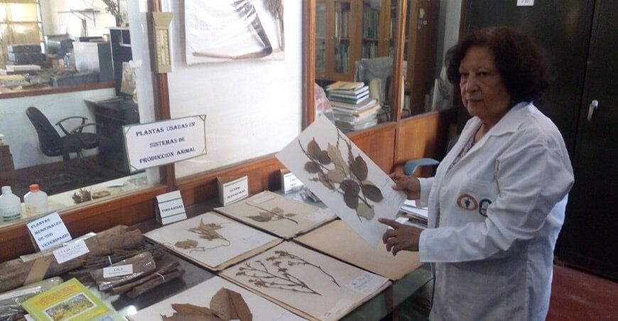 Dra. Zoyla Clavo, fundadora y actual directora del Herbario Regional de Ucayali