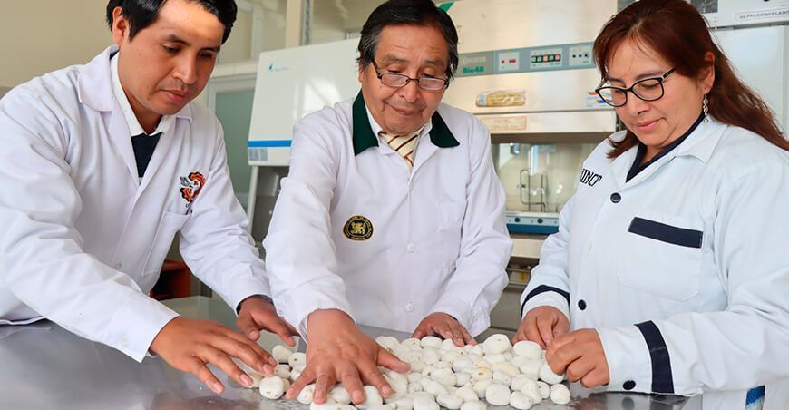Investigadores determinan que el chuño puede elaborarse en casa sin perder sus propiedades del Universidad Nacional del Centro del Perú 