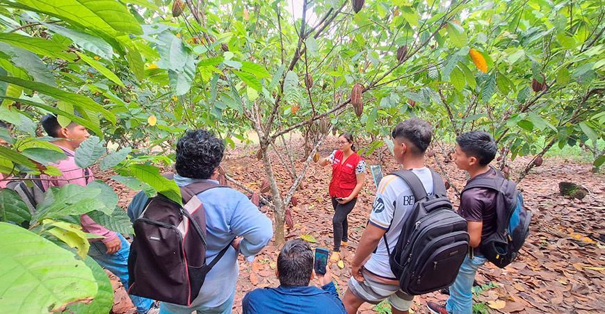 CITEproductivo Maynas del Instituto Tecnológico de la Producción capacitó a productores de cultivo cacao Ucayali Perú