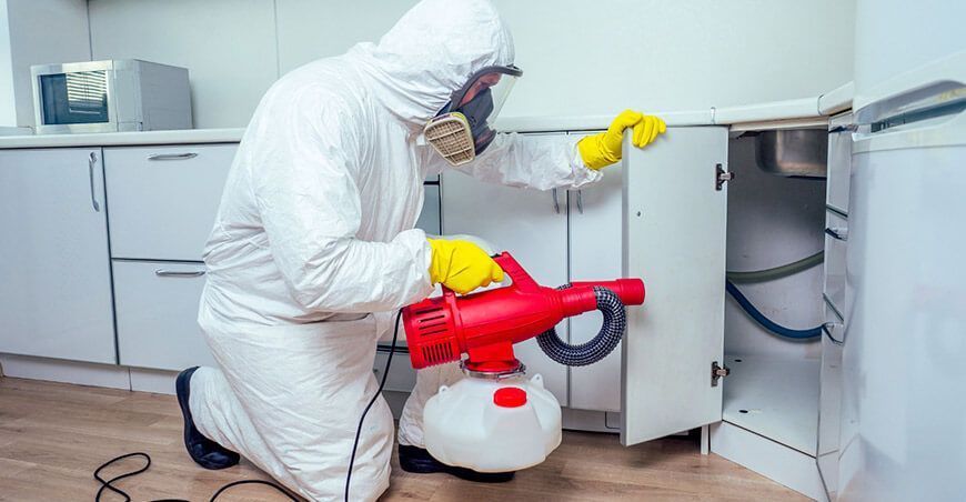 Establecen requisitos de calidad para el adecuado manejo de plagas en la industria alimentaria