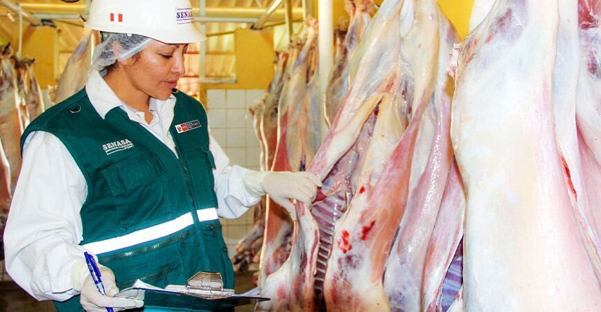 Senasa implementó 53 mataderos municipales para mejorar inocuidad cárnica en el Perú