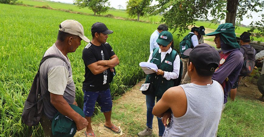 Midagri realizará Encuesta de Costos de Producción en 10 regiones del país