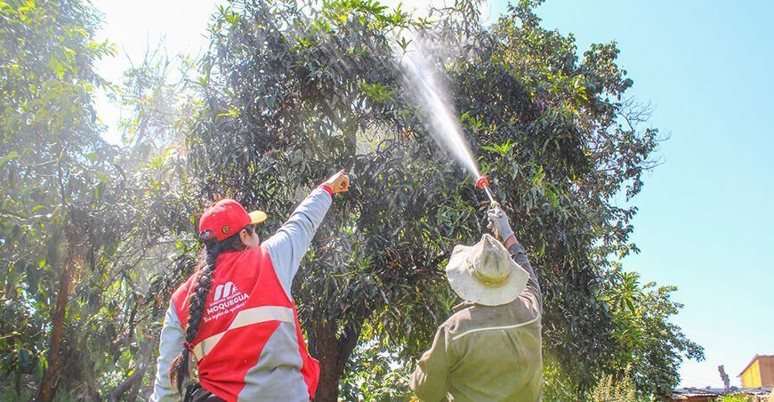 El fortalecimiento de las agencias agrarias beneficiará a 14 000 productores de Moquegua Perú
