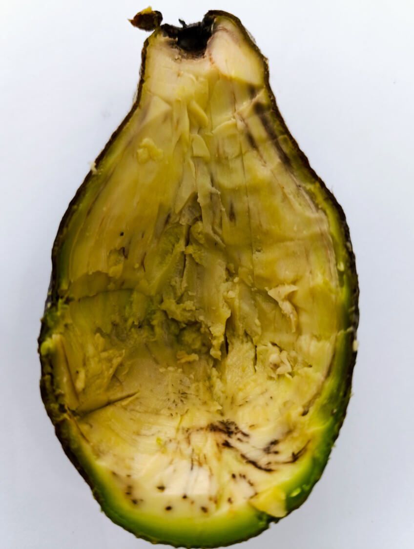 Estado avanzado: Necrosis en fruto y vasos conductores (“raicillas negras”). En plata fuerte Perú UNALM 