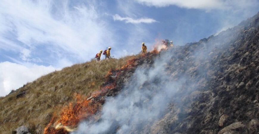 Minam realiza monitoreo de condiciones que podrían provocar incendios forestales Perú