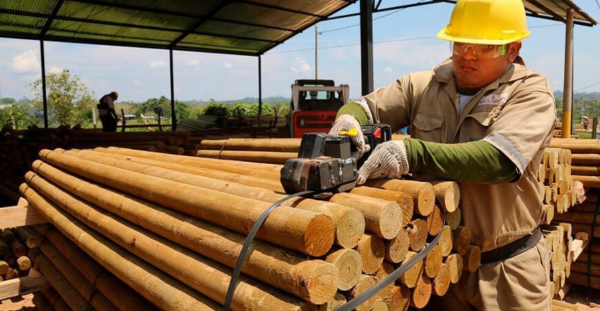productor forestal maderable maderas Perú