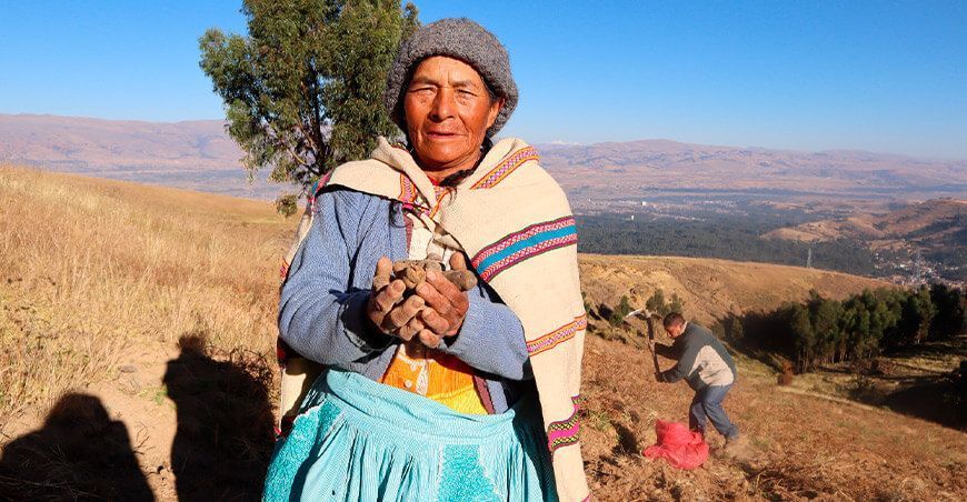 Investigadores determinan que el chuño puede elaborarse en casa sin perder sus propiedades del Universidad Nacional del Centro del Perú