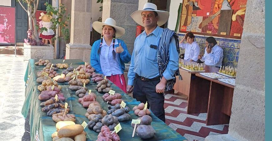 productores de papas nativas tubérculos Perú feria 