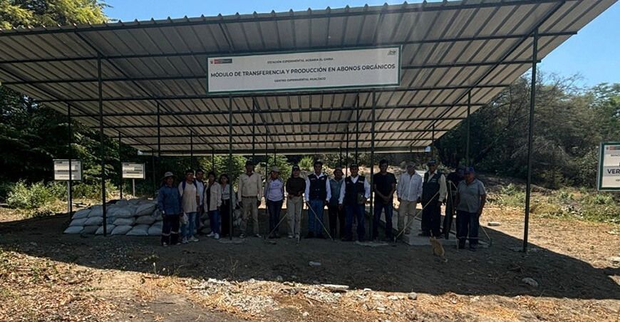 Productores de Tambogrande adoptan tecnologías para mejorar la calidad de los suelos agrarios Piura Perú cultivo de limón y mango