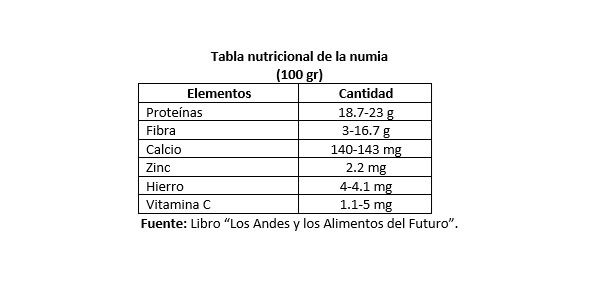 Nuña o frijol reventón, alimento funcional