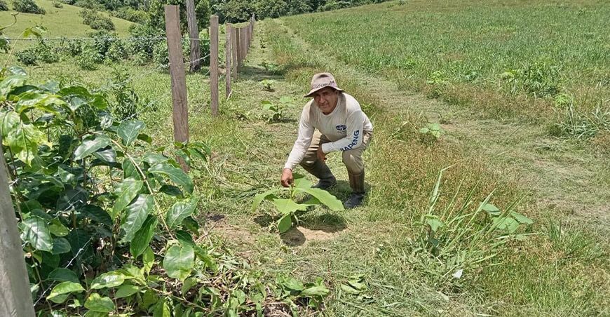 Agro Rural recupera ecosistemas forestales degradados en Madre de Dios