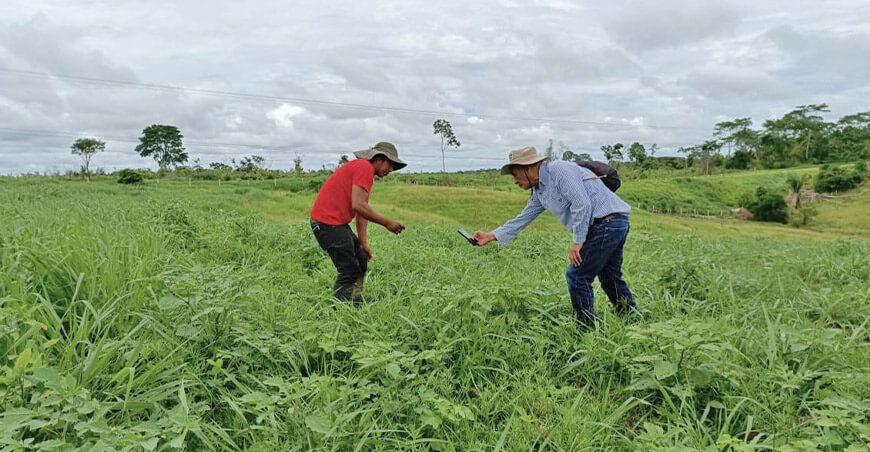 Agro Rural recupera ecosistemas forestales degradados en Madre de Dios