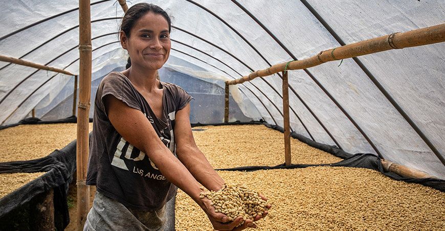 secadores solares para garantizar calidad del café Vraem Devida Perú