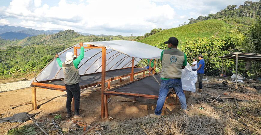 secadores solares para garantizar calidad del café Vraem Devida Perú