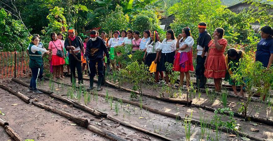 Capacitación: Productores de la selva son adiestrados en buenas prácticas agrícolas a través de las ECAs Senasa Perú