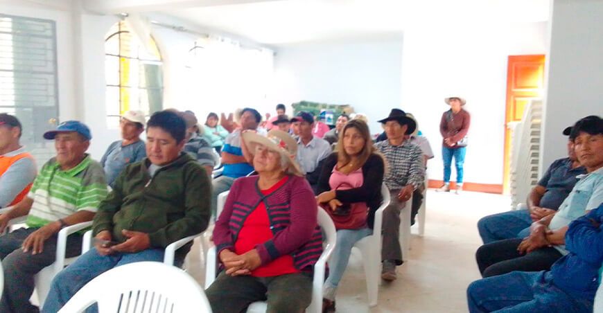 Senasa plaga de roedores cultivos agrícolas Huaura Lima Perú Productores de Ámbar 