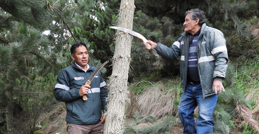 Brindan asistencia en proyecto de manejo forestal en Comunidad Campesina de Acopalca Hunacayo, Junín Serfor Perú