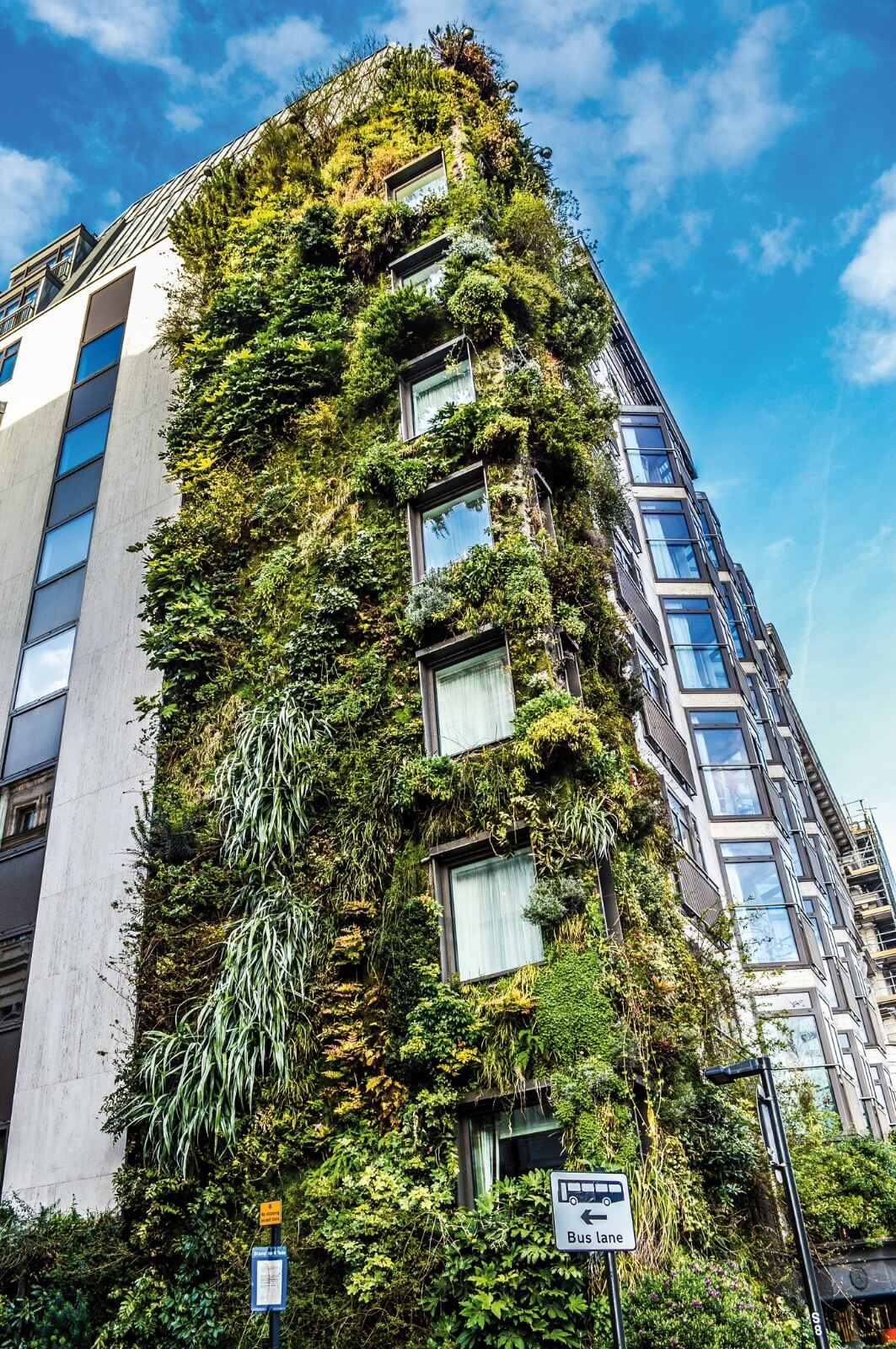 Techos verdes y jardines verticales, nuevas soluciones urbanas al impacto ambiental