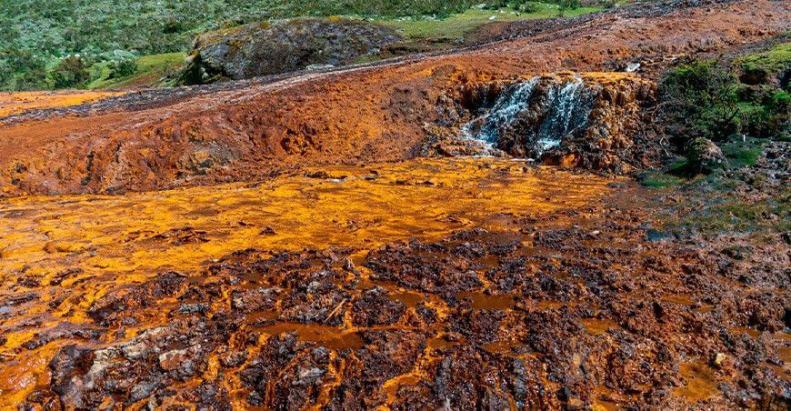 Cómo descontaminar el suelo usando plantas fitorremediación Ancash Perú