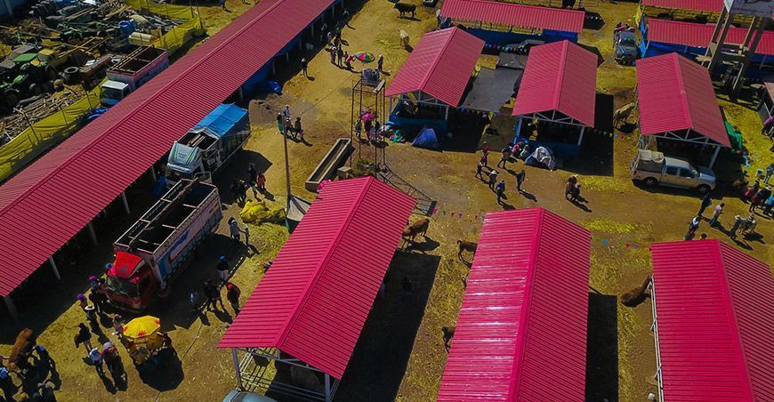 Inauguraron albergues ganaderos en el campo ferial de Juliaca en Puno Perú