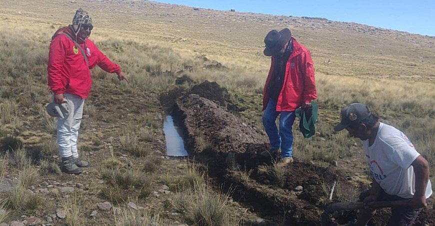 Proyecto Vicuñas construye zanjas de infiltración en la comunidad de Pampaminas Ayacucho Perú